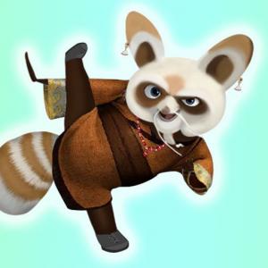 Kungfu Panda Shifu – Dress up for Master Shifu from Kung Fu Panda